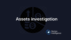 Assets investigation
