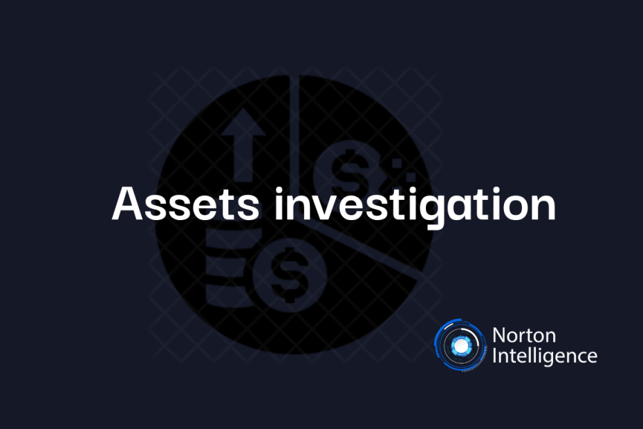 Assets investigation